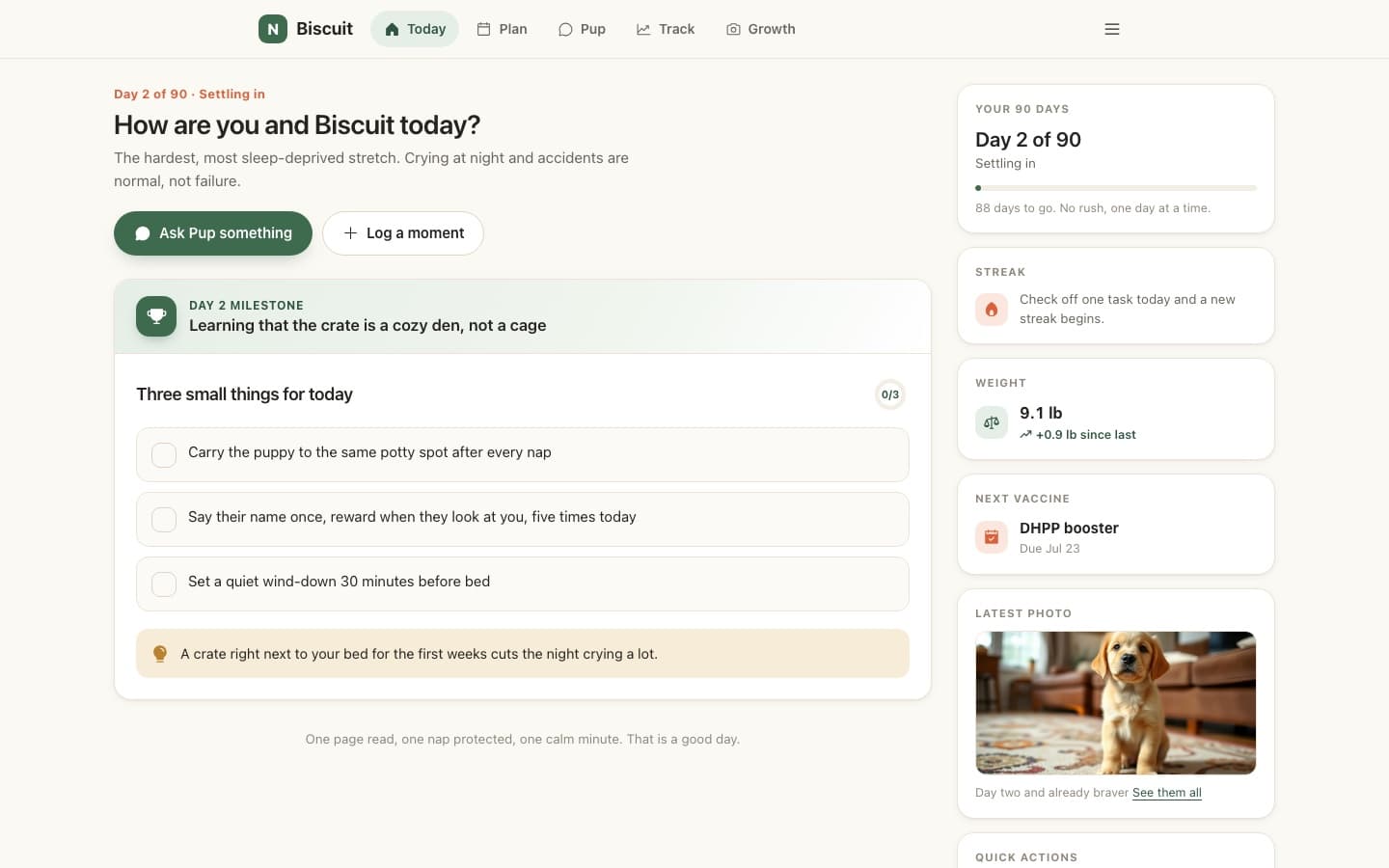 The Today dashboard with the daily milestone, three tasks, streak and weight at a glance